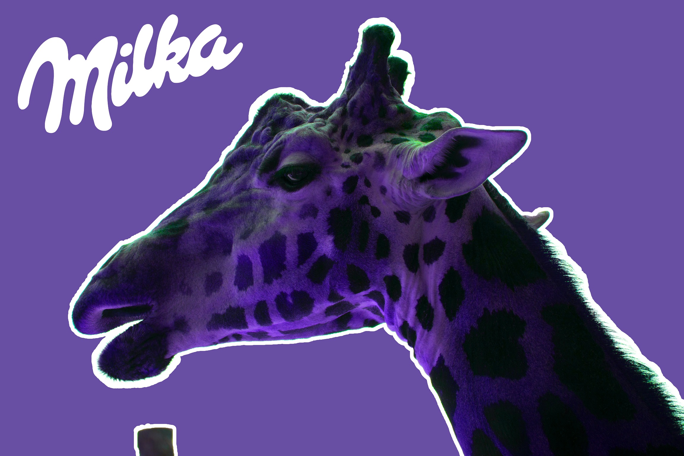 Milka-Giraffe