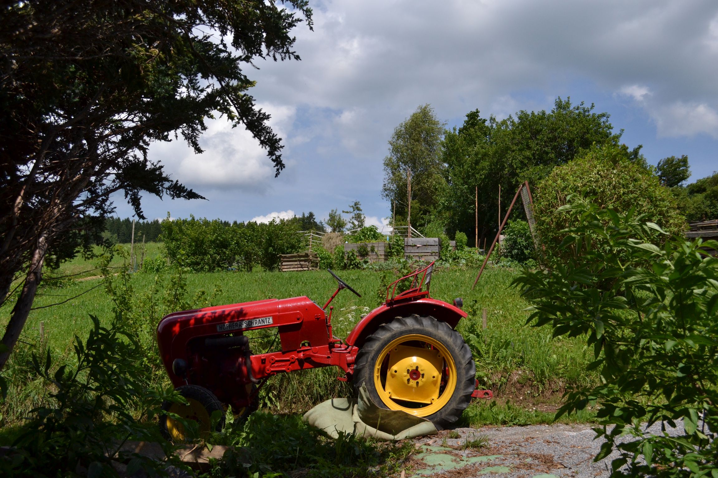 old traktor